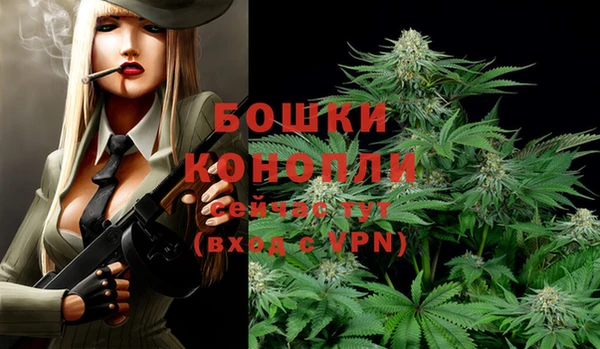 экстази Краснослободск