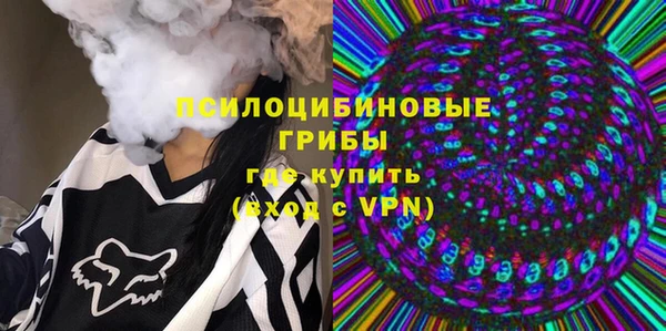 экстази Краснослободск