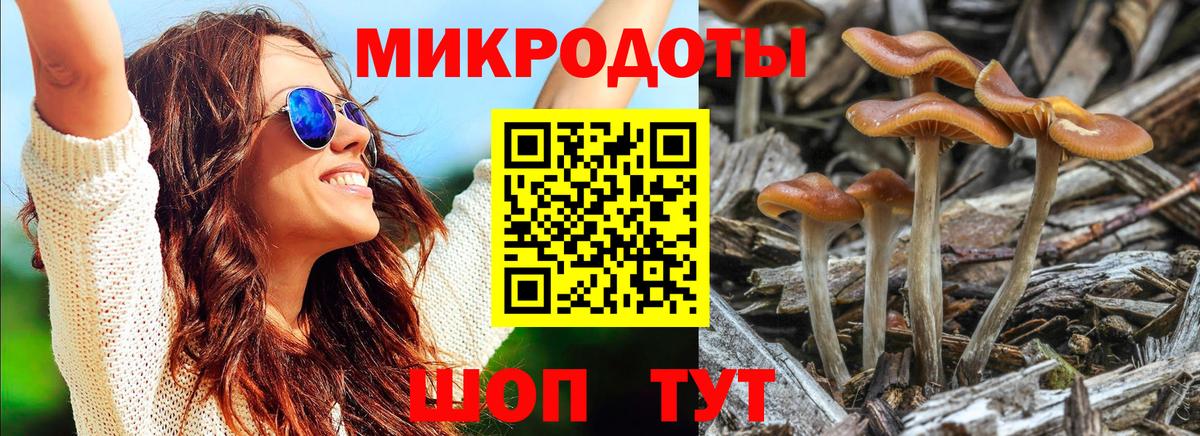 Галлюциногенные грибы ЛСД Находка