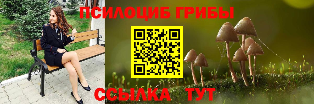 наркота  Вход с VPN  Галлюциногенные грибы Psilocybe  Находка  Псилоцибиновые грибы GOLDEN TEACHER 